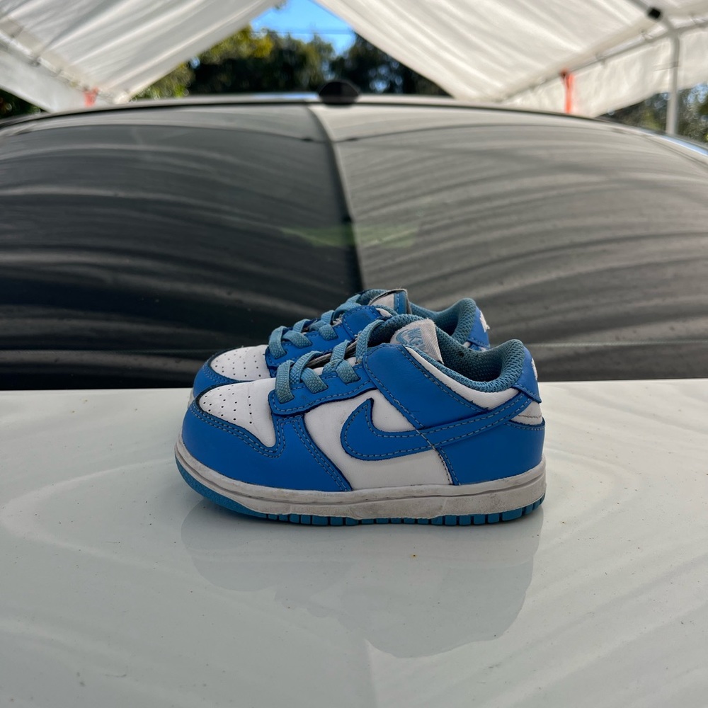 Nike dunks low